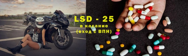 PSILOCYBIN Алзамай
