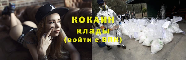 стафф Осташков