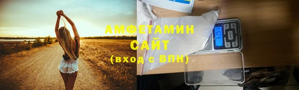 PSILOCYBIN Алзамай