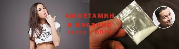 PSILOCYBIN Алзамай
