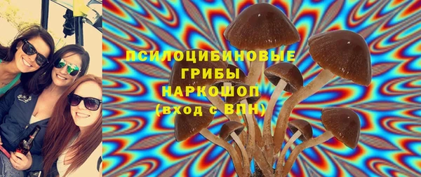 apvp Абаза