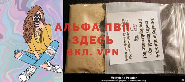 PSILOCYBIN Алзамай