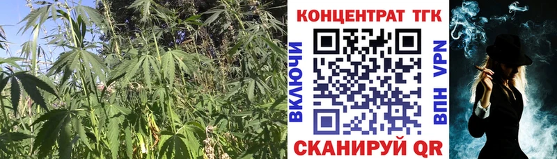 Дистиллят ТГК THC oil  где найти наркотики  Куртамыш 