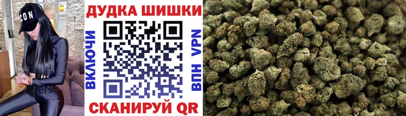где купить наркоту  кракен зеркало  Канабис сатива  Куртамыш 